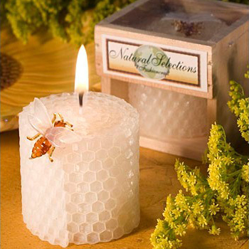 อุปกรณ์งานเลี้ยงวันเกิดเด็กเที - Candle Supplies Usa บทวิจารณ์และราคา